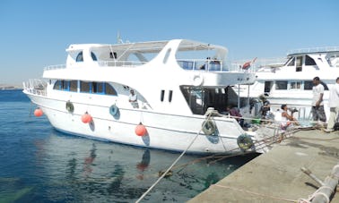 ¡Las mejores aventuras submarinas en la gobernación del Mar Rojo, Egipto!