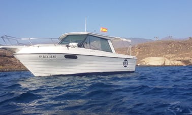 Safari en mer et excursions en bateau à Tenerife