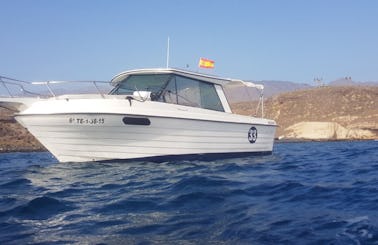 Ocean safari and boat trips in Tenerife