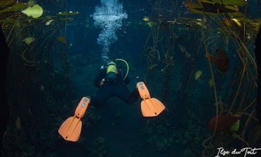 ¡Experimenta las maravillas de la costa de Mozambique con nosotros!