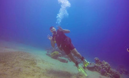 Diving Trip with a Professional Guide in Aqaba, Jordan