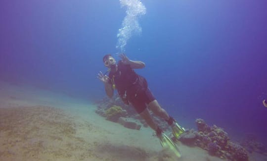 Diving Trip with a Professional Guide in Aqaba, Jordan