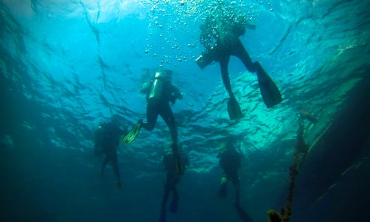 Diving Trips and Courses in Aneuk Laot, Indonesia