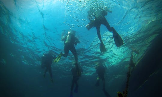 Diving Trips and Courses in Aneuk Laot, Indonesia