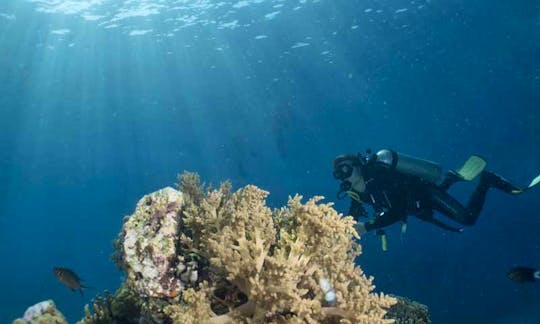 Discover Entire Bali While Diving With Us!