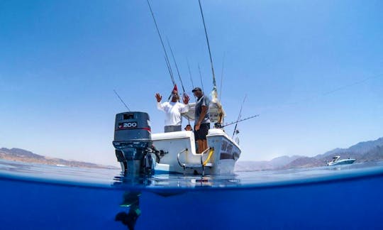 24’ Proline Center Console Fishing Charter for 6 People in Aqaba, Jordan
