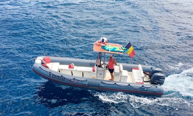 Passeio de barco privado na Riviera Francesa, Mônaco, Cap d'Ail, Nice com a Capitã Alice