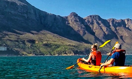 Take A Scenic Kayaking Excursion That You Won't Forget!