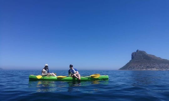 Take A Scenic Kayaking Excursion That You Won't Forget!