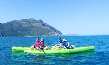 Take A Scenic Kayaking Excursion That You Won't Forget!