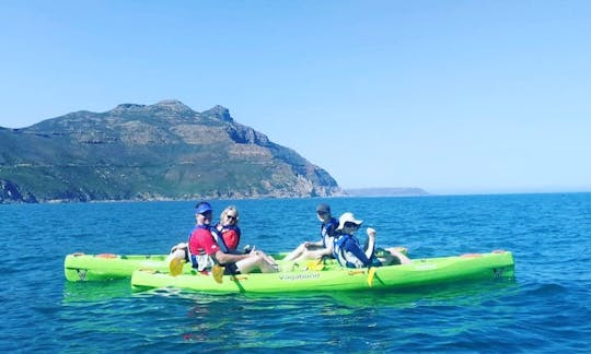 Take A Scenic Kayaking Excursion That You Won't Forget!