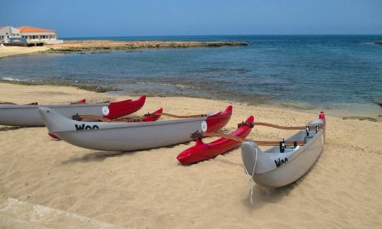 Learn to Tame The Waves in Murdeira, Cape Verde!
