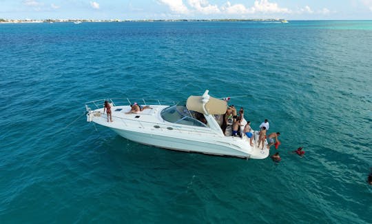 Sea Ray 41 ft yacht for rent at Cancun or Isla Mujeres or Cozumel