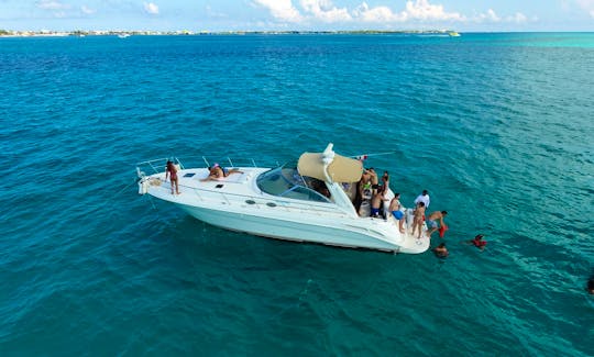Sea Ray 41 ft yacht for rent at Cancun or Isla Mujeres or Cozumel