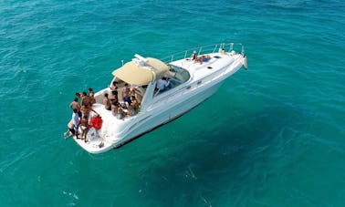 Crewed Charter 41' Searay  Yacht for  15 people