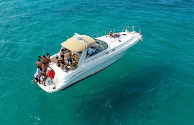 Crewed Charter 41' Searay  Yacht for  15 people