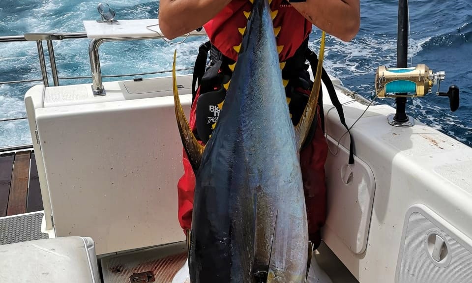 Cape Town Fishing - Rean S Cape Town Kob Vlog Asfn Fishing Youtube - Cape town fishing charters