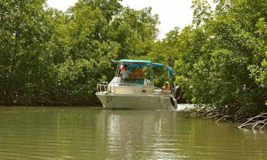 Excursion écologique en bateau au départ de Vieux-Bourg, en Guadeloupe