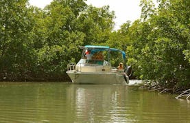 Ecological Boat Excursion from Vieux-Bourg, Guadeloupe