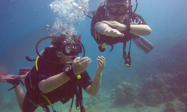 Viaje de buceo con la guía Dive Master en las Islas Perhentian, Malasia