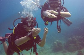 Diving Trip with Dive Master Guide in Perhentian Islands, Malaysia
