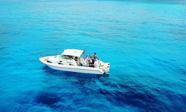 CHARTES DE PÊCHE SUR L'ÎLE DE MALÉ, AUX Maldives !