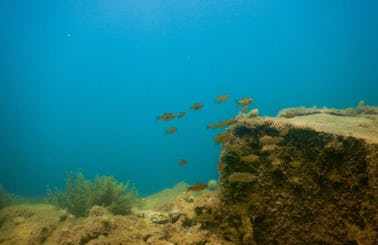 Discover Scuba Diving in Kalapettai, Pondicherry