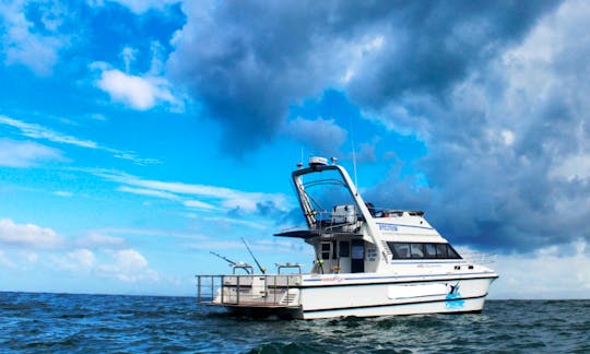 41’ Noosa Power Catamaran Fishing Charter for Up to 8 People in Cape Town, South Africa