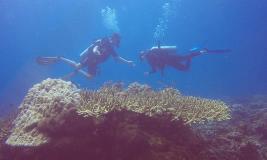 Diving Trip with Dive Master Guide in Perhentian Islands, Malaysia