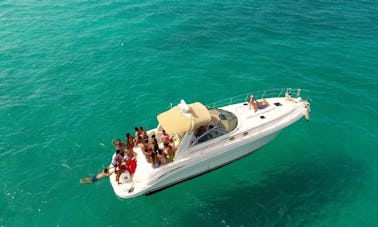Luxury Recreational Fishing Tour For Groups ,Families From Cancun Isla Mujeres 