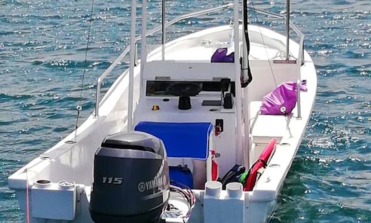 Perfect inshore affordable boat!