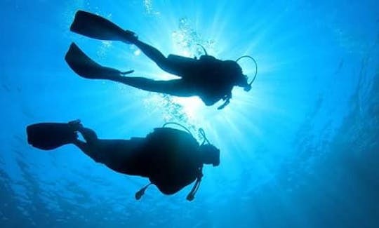 Incredible Scuba Diving Experience in Malvan, India!