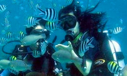 Incredible Scuba Diving Experience in Malvan, India!