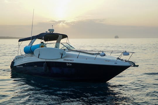 Location de yachts à moteur Sundancer de 38 pieds avec capitaine à Cabo San Lucas