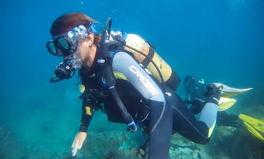 Passenger Boat Diving Trips & Courses in Vic, Spain