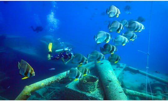 Learn To Scuba Dive in Hawalli Governorate, Kuwait