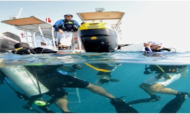 Apprenez à faire de la plongée sous-marine dans le gouvernorat de Hawalli, au Koweït