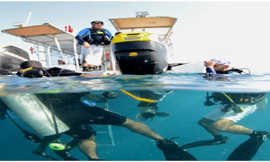 Apprenez à faire de la plongée sous-marine dans le gouvernorat de Hawalli, au Koweït