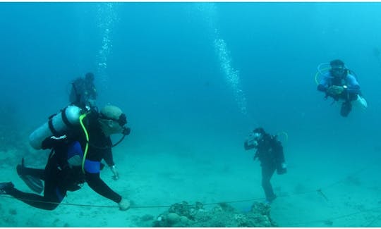 Apprenez à faire de la plongée sous-marine dans le gouvernorat de Hawalli, au Koweït