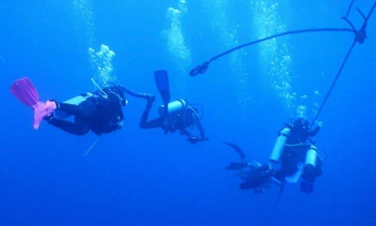 Go Dive! Enjoy Diving With Your Friends in Candolim, India!