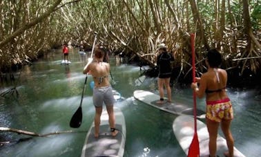 Stand Up Paddleboard Ready for Rent in Sainte Rose, Guadeloupe!