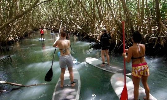 Stand Up Paddleboard Ready for Rent in Sainte Rose, Guadeloupe!