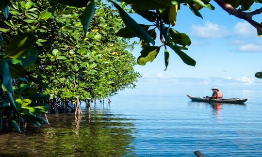 A Relaxing Canoeing in Sainte Rose, Guadeloupe!