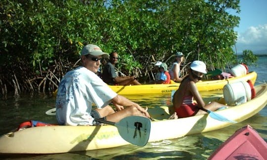 A Relaxing Canoeing in Sainte Rose, Guadeloupe!