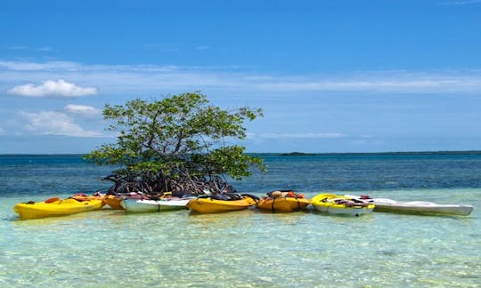 A Relaxing Canoeing in Sainte Rose, Guadeloupe!