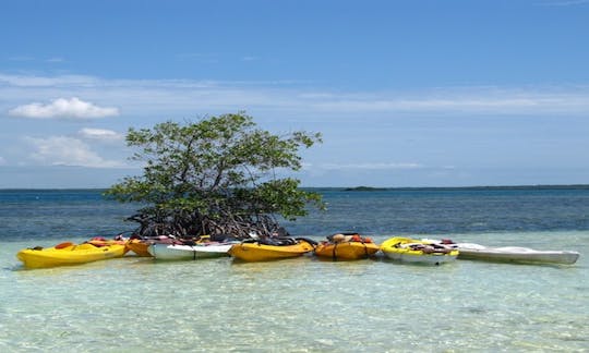 A Relaxing Canoeing in Sainte Rose, Guadeloupe!