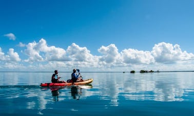 Excursions en kayak de mer à Sainte Rose, Guadeloupe