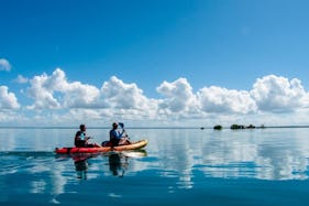 Excursions Sea Kayaking In Sainte Rose, Guadeloupe