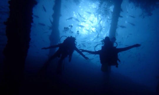 インドネシアのスンバワ島で一生に一度の水中体験をお楽しみください！