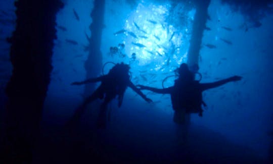 Enjoy An Underwater Experience Of A Life Time In Sumbawa, Indonesia!